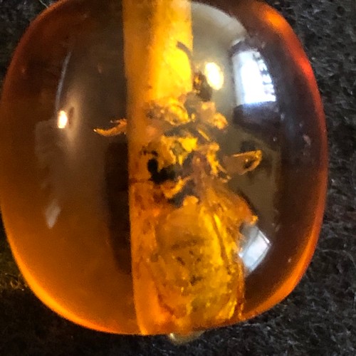 13 - a amber resin pendant with wasp trapped inside