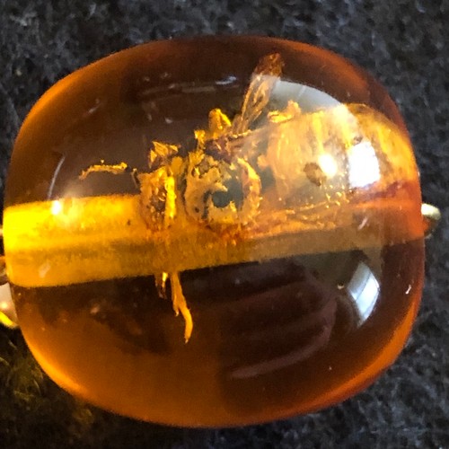 13 - a amber resin pendant with wasp trapped inside