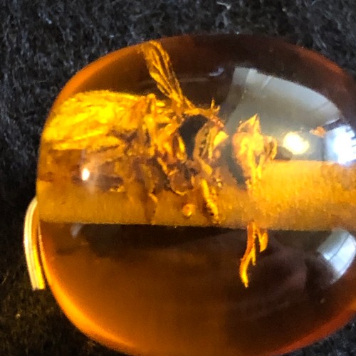 13 - a amber resin pendant with wasp trapped inside