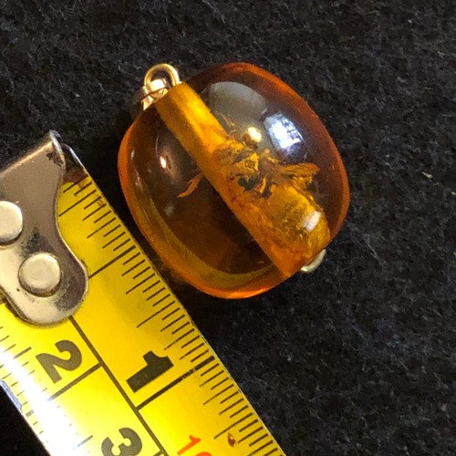 13 - a amber resin pendant with wasp trapped inside