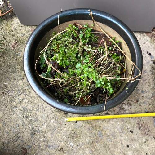 456 - Large glazed ceramic flower pot