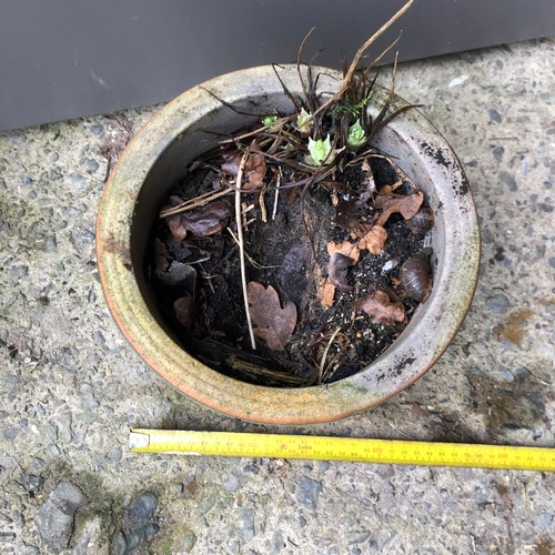 459 - glazed ceramic flower pot