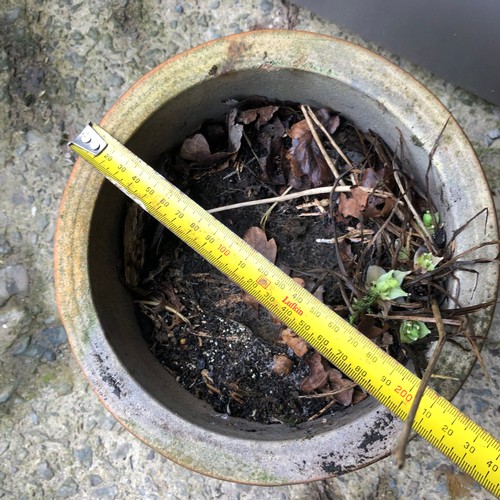 459 - glazed ceramic flower pot