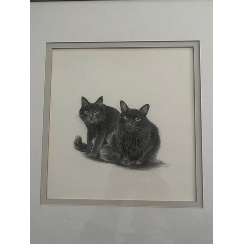 586 - Signed pencil drawing of a pair of cats