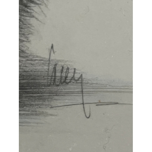 586 - Signed pencil drawing of a pair of cats