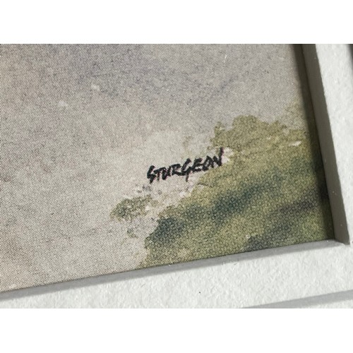 602 - Cottage print signed Sturgeon