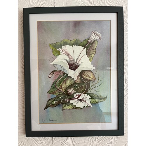 666 - Signed floral Watercolour. Framed and glazed