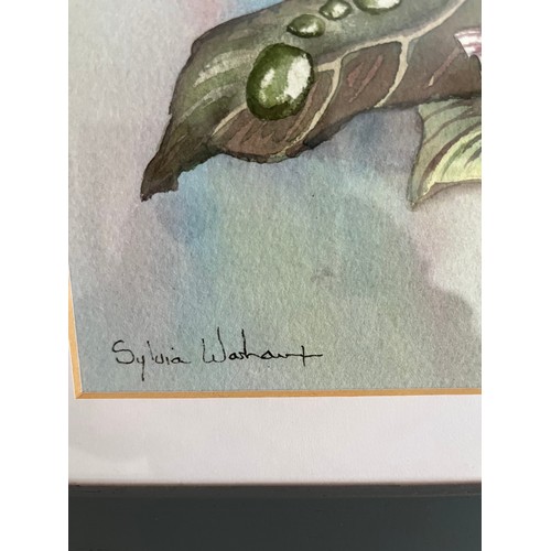 666 - Signed floral Watercolour. Framed and glazed