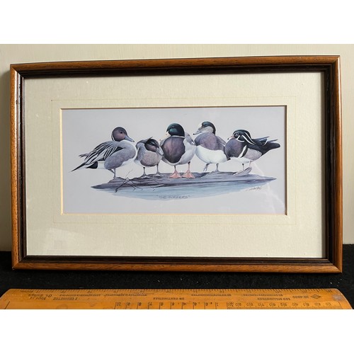 681 - Old print of wild ducks 