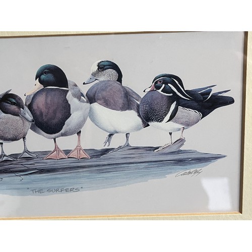 681 - Old print of wild ducks 