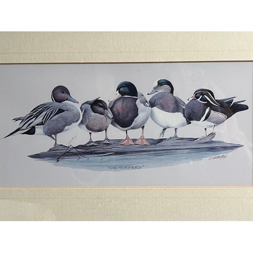 681 - Old print of wild ducks 