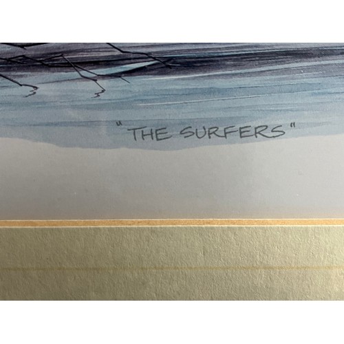 681 - Old print of wild ducks 