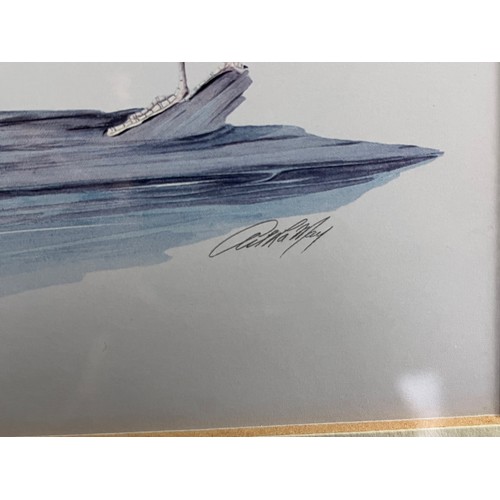 681 - Old print of wild ducks 