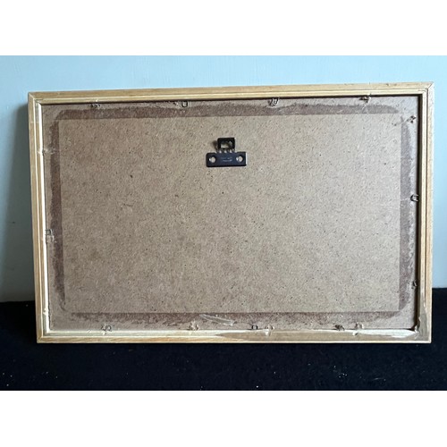 681 - Old print of wild ducks 