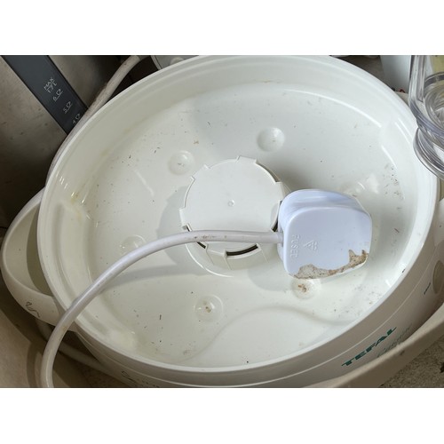 767 - Tefal Steamer. kettle and other kitchen appliances.
