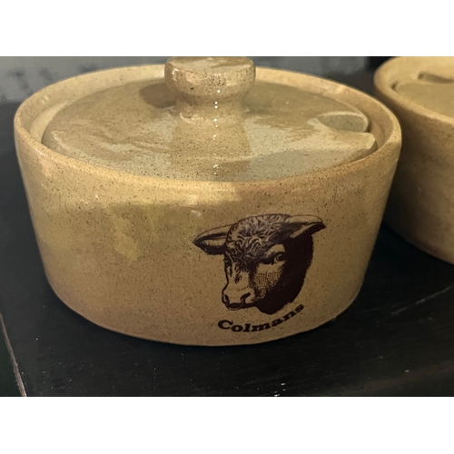 797 - A pair of Moira Coleman’s mustard pots