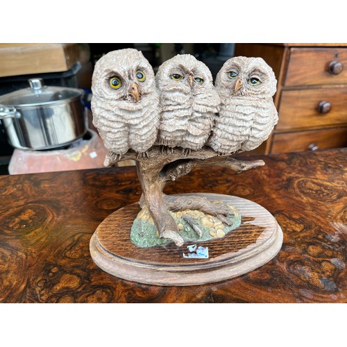 905 - Country Artists group of three owls on a branch