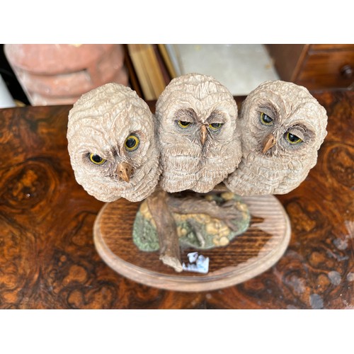 905 - Country Artists group of three owls on a branch