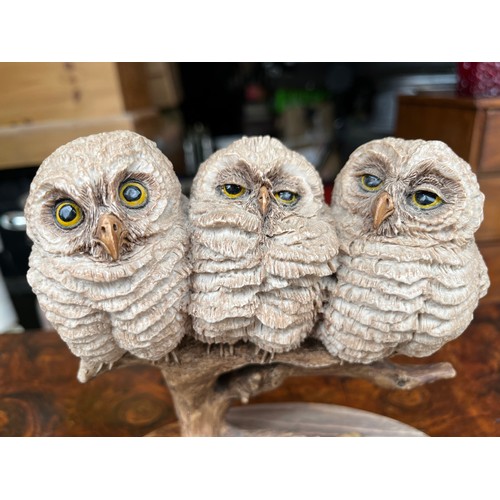 905 - Country Artists group of three owls on a branch