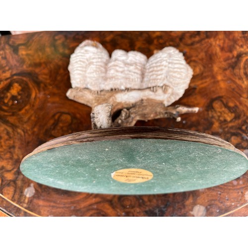 905 - Country Artists group of three owls on a branch