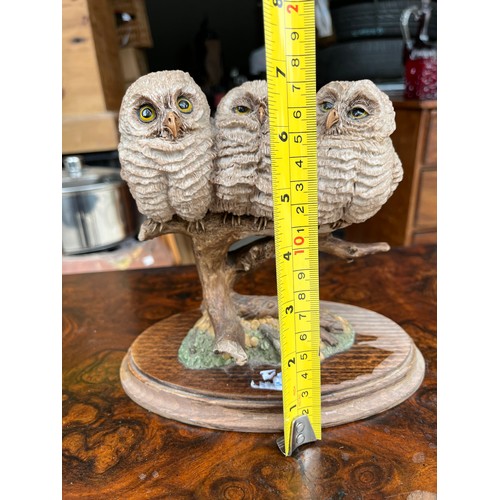 905 - Country Artists group of three owls on a branch
