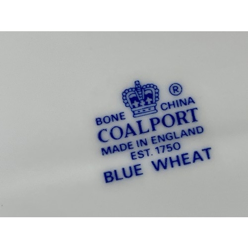 1167 - Large Coalport Blue Wheat Platter
