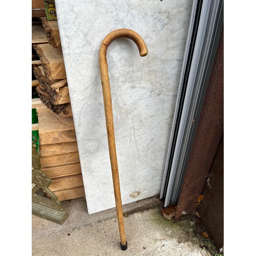 1273 - Walking stick