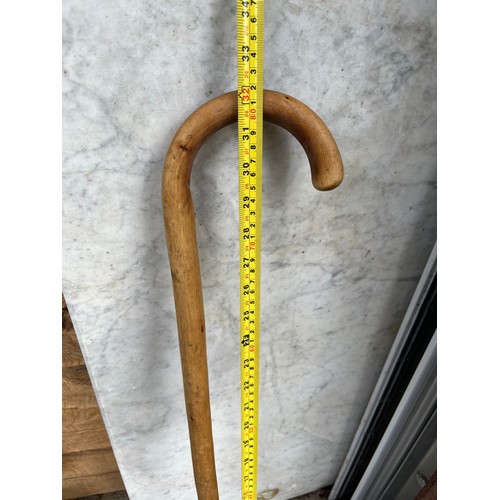 1273 - Walking stick