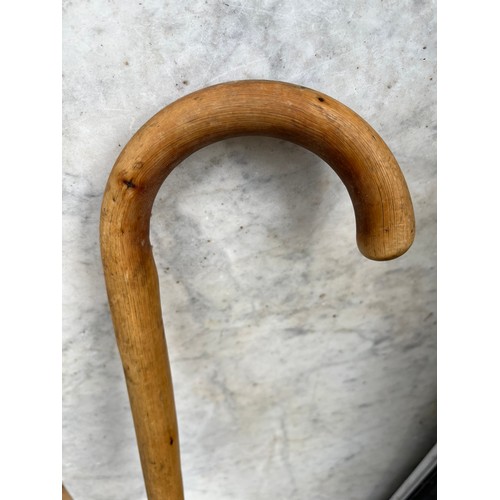 1273 - Walking stick