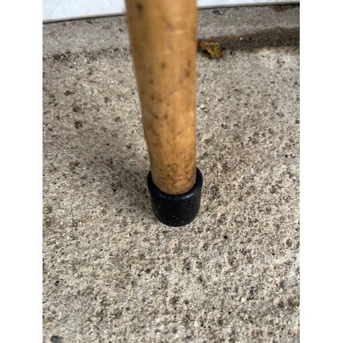 1273 - Walking stick