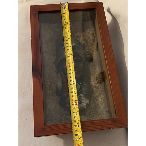 1305 - Resin bust of a Red Indian chief set in rabbit fur framed and glazed