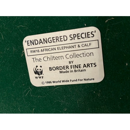 1384 - Border Fine Arts RW16 African Elephant and Calf from the WWF Chilton collection.