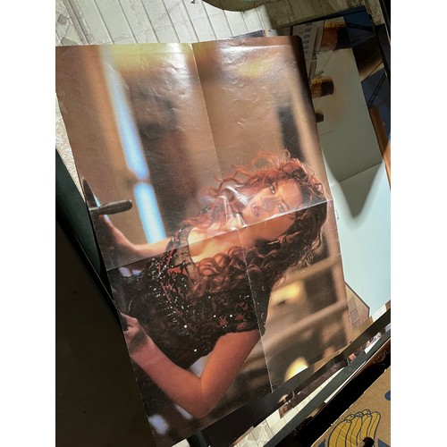 1393 - 11 Titanic movie posters