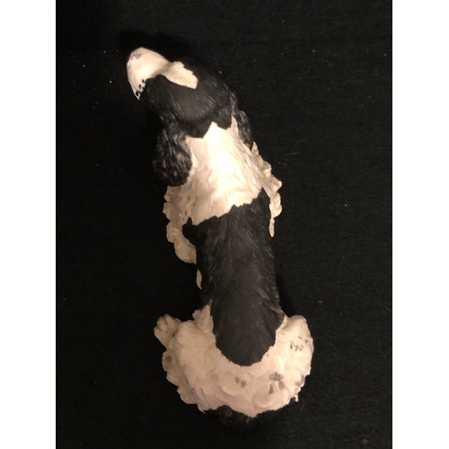 1424 - No. BO499B Border Fine Arts New ES Spaniel Black & White