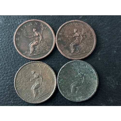 Lot 8         