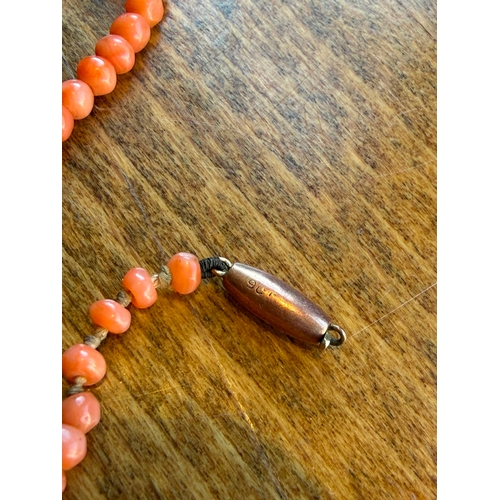 12 - A natural graduated momo pink colour antique coral necklace with 9ct gold clasp just need string on ... 