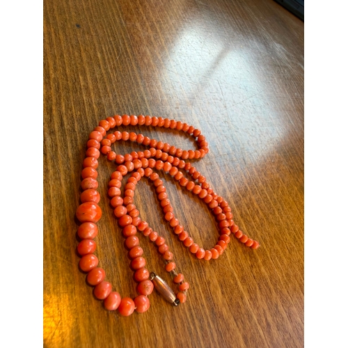 12 - A natural graduated momo pink colour antique coral necklace with 9ct gold clasp just need string on ... 