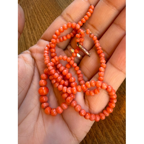 12 - A natural graduated momo pink colour antique coral necklace with 9ct gold clasp just need string on ... 