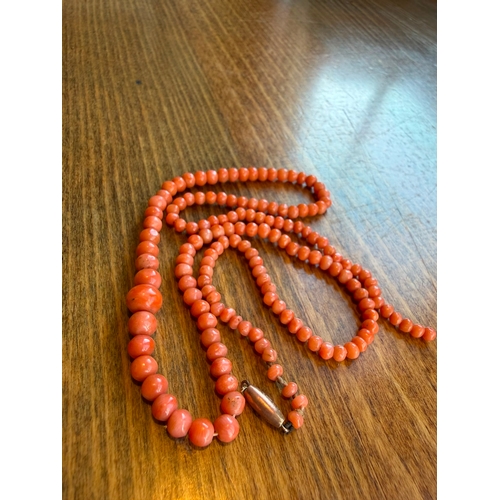 12 - A natural graduated momo pink colour antique coral necklace with 9ct gold clasp just need string on ... 