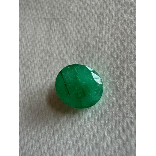 Lot 55        