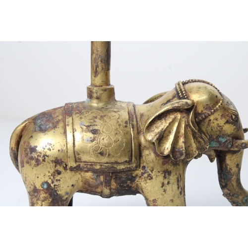 30 - Chinese Bronze Gilt Elephant with Floral Carvings: This captivating bronze gilt elephant, standing a... 