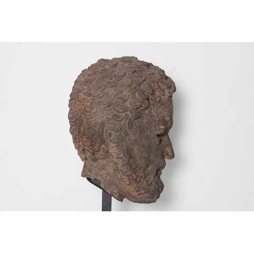 311 - Indo-Greek Bronze Head with Curled Hair: This Indo-Greek bronze head, featuring intricately curled h... 