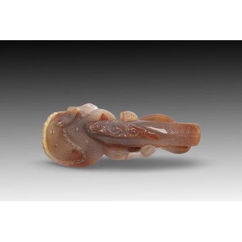 239 - A Chinese Agate Magnificently Carved of a Dragon

Height: Approximately 12.9cm
Length: Approximately... 