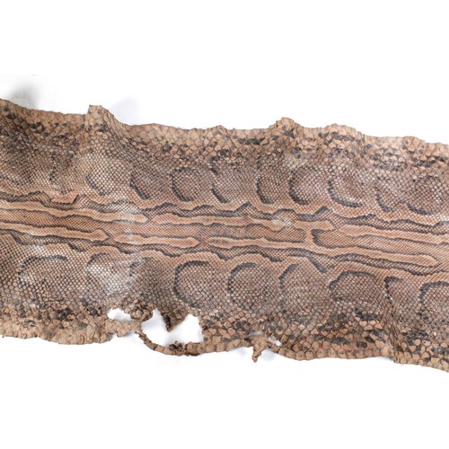 433 - An African Rock Python Snake Skin from Circa 1910

Length: Approximately 440cm
Width: Approximately ... 