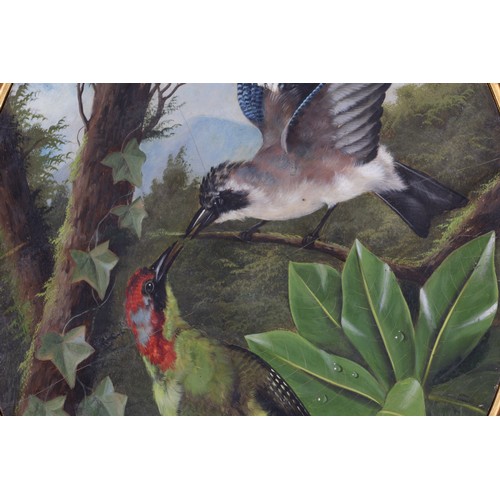 471 - Michelangelo Meucci 
Italian
1840 -1909 
Signed and Inscribed, 'M MEUCCI FIRENZA'
A Woodpecker & a J... 