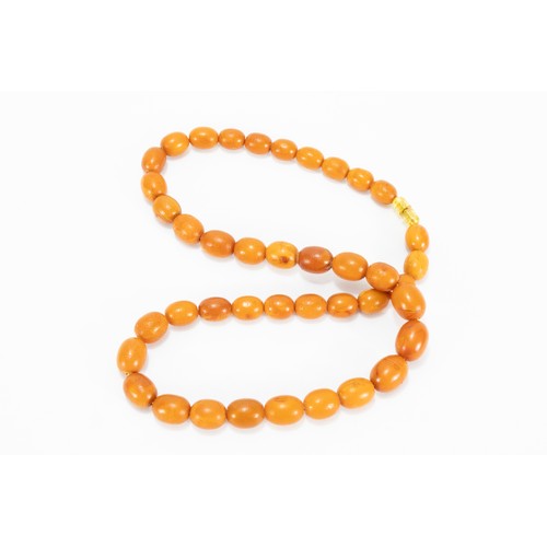 330 - A Single Strand Graduated Butterscotch Amber Beads Necklace.

33g

L; Approximately 54cm