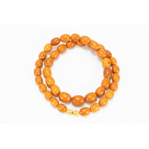 330 - A Single Strand Graduated Butterscotch Amber Beads Necklace.

33g

L; Approximately 54cm