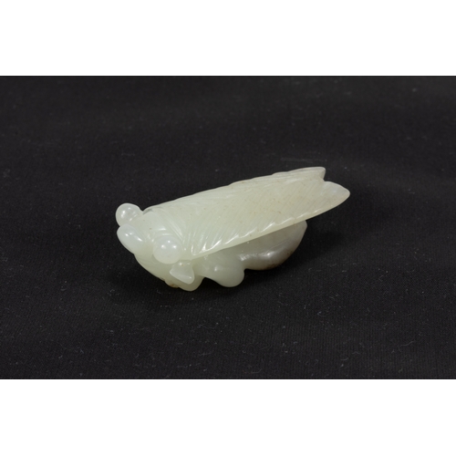 117 - A Chinese Jade Figure of a Fly Insect.

L: Approximately 5.2cm