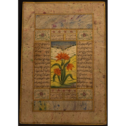 283 - An Indian Mughal Painting Depicting a Flower with Illustrations from the 20th Century.

Approximatel... 