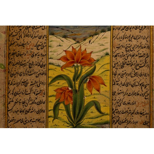 283 - An Indian Mughal Painting Depicting a Flower with Illustrations from the 20th Century.

Approximatel... 